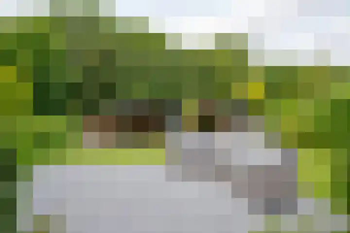 Leimuiderdijk 290 Burgerveen thumbnail 33