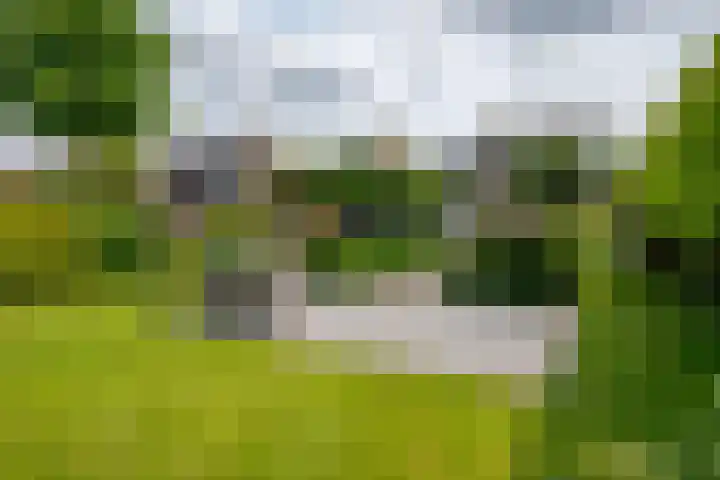 Leimuiderdijk 290 Burgerveen thumbnail 34