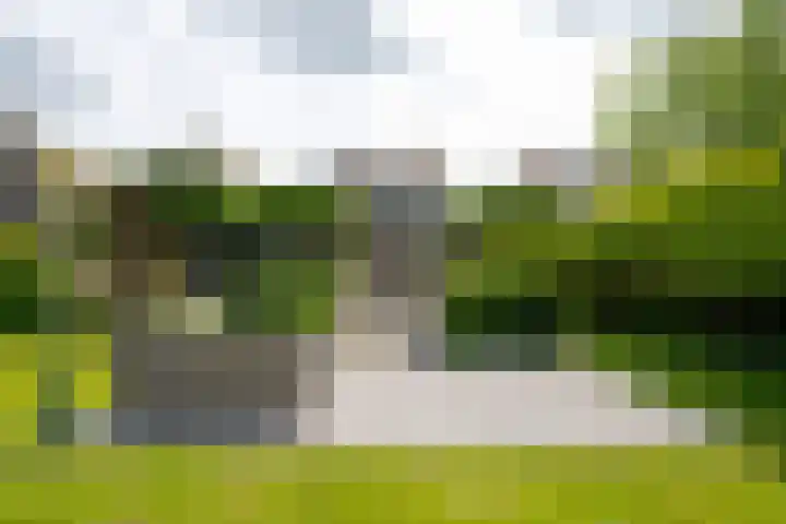 Leimuiderdijk 290 Burgerveen thumbnail 35
