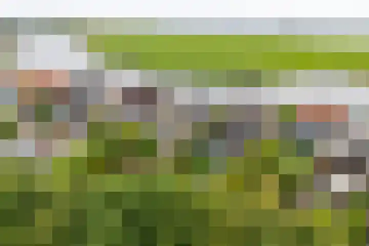 Leimuiderdijk 290 Burgerveen thumbnail 4