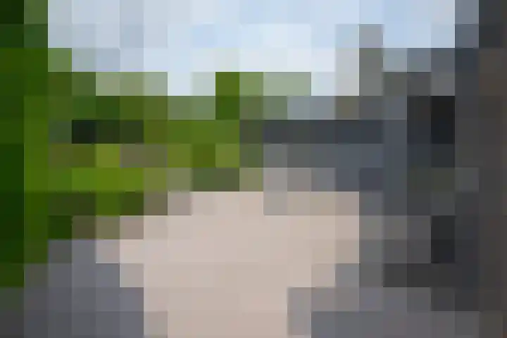 Leimuiderdijk 290 Burgerveen thumbnail 40