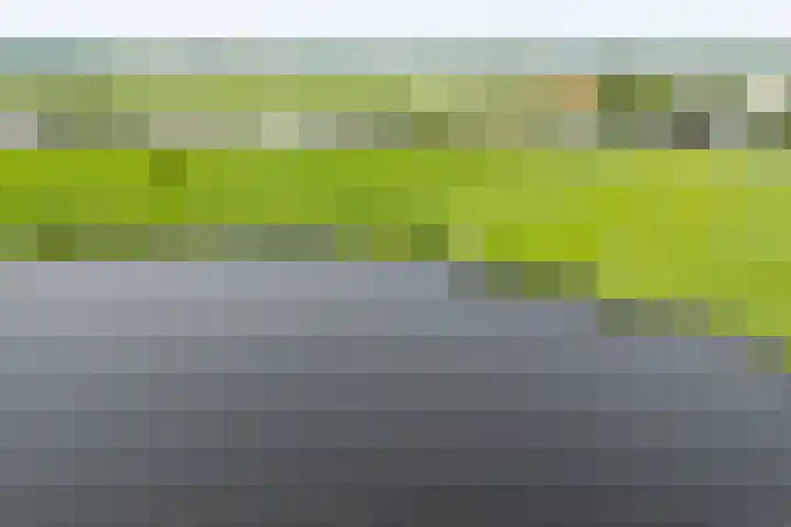 Leimuiderdijk 290 Burgerveen thumbnail 6