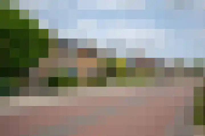 Leimuiderdijk 290 Burgerveen thumbnail 7