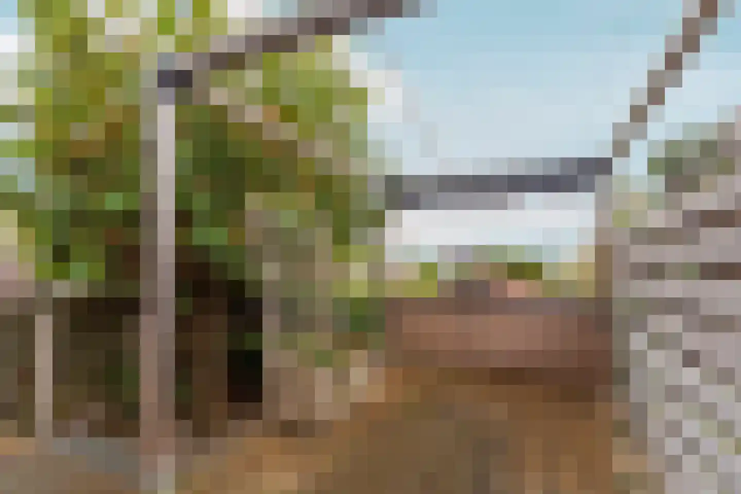 Leimuiderdijk 31 Rijsenhout thumbnail 10