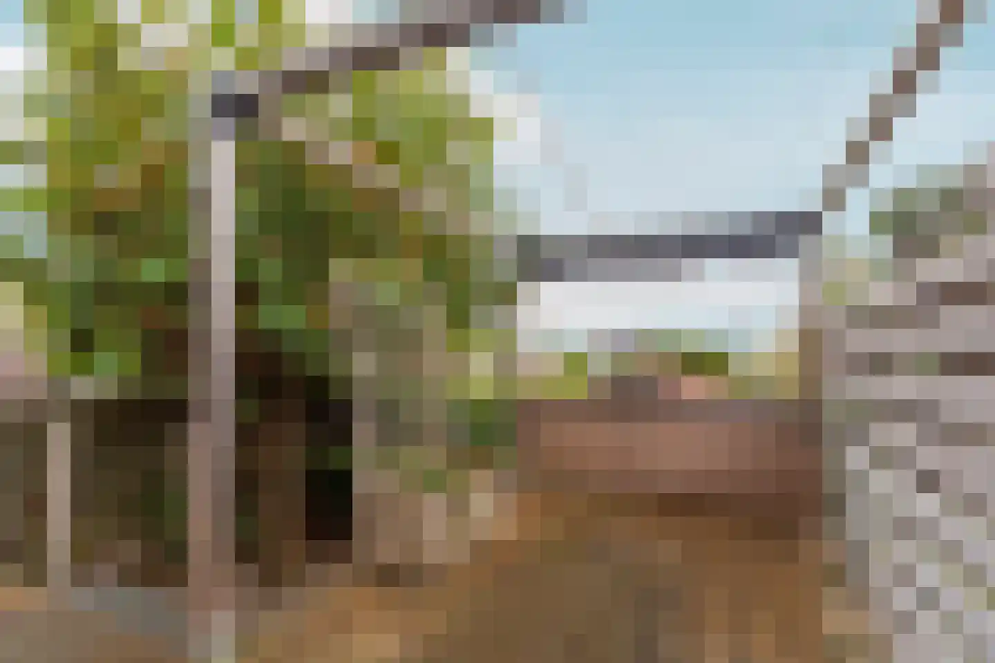 Leimuiderdijk 31 Rijsenhout thumbnail 34