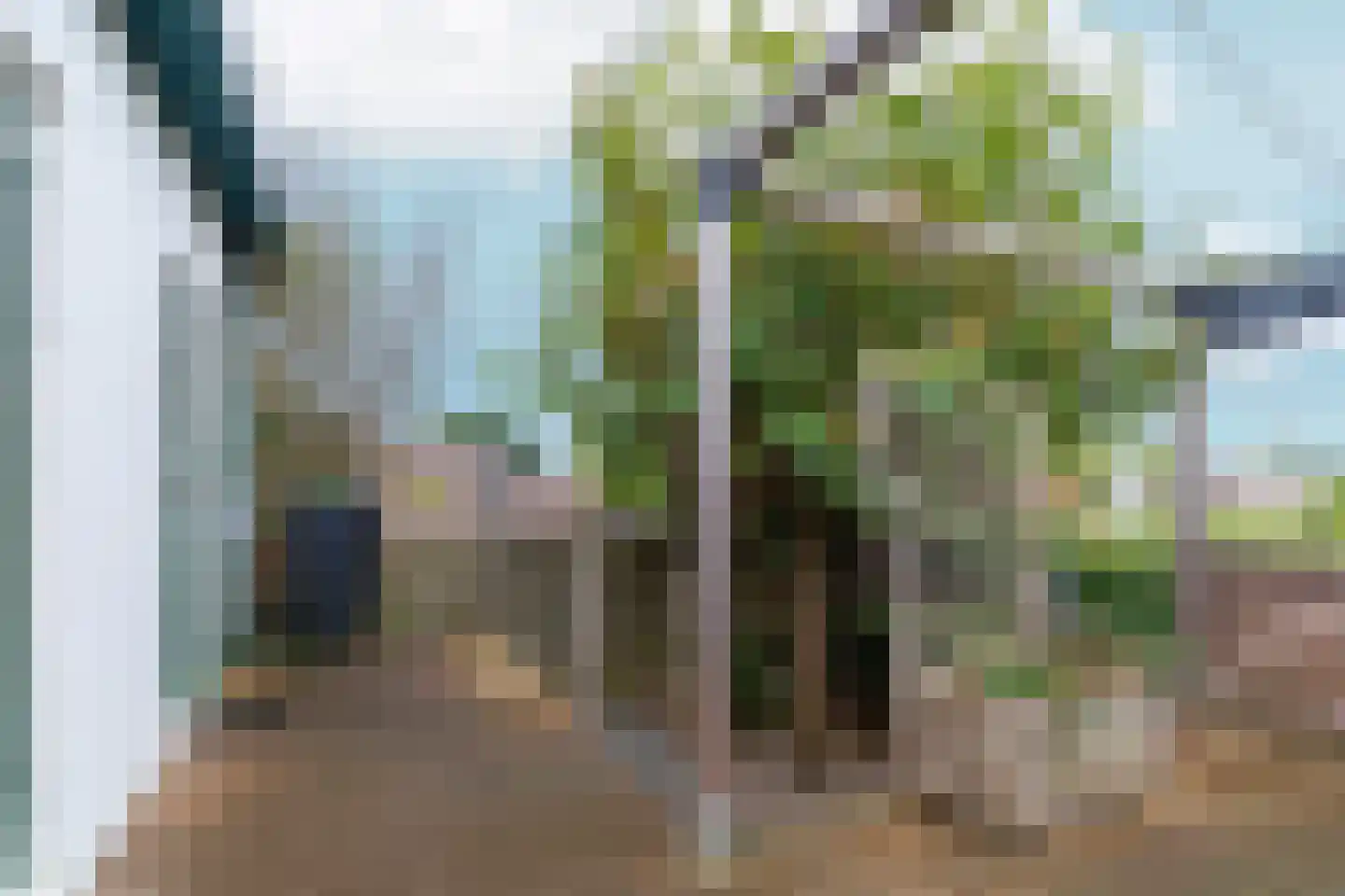 Leimuiderdijk 31 Rijsenhout thumbnail 35
