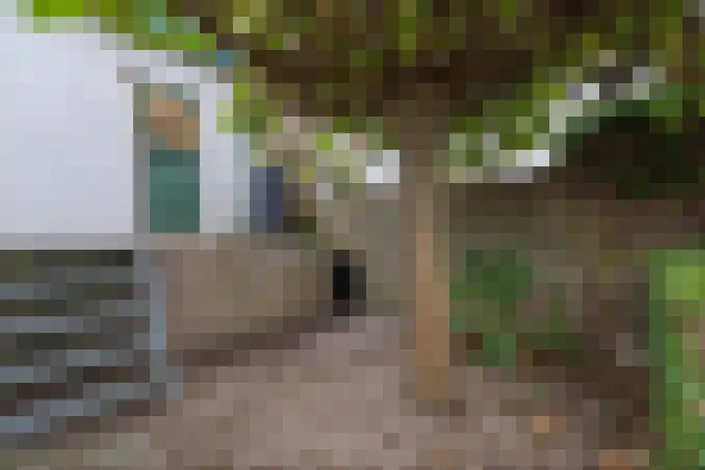 Leimuiderdijk 31 Rijsenhout thumbnail 39