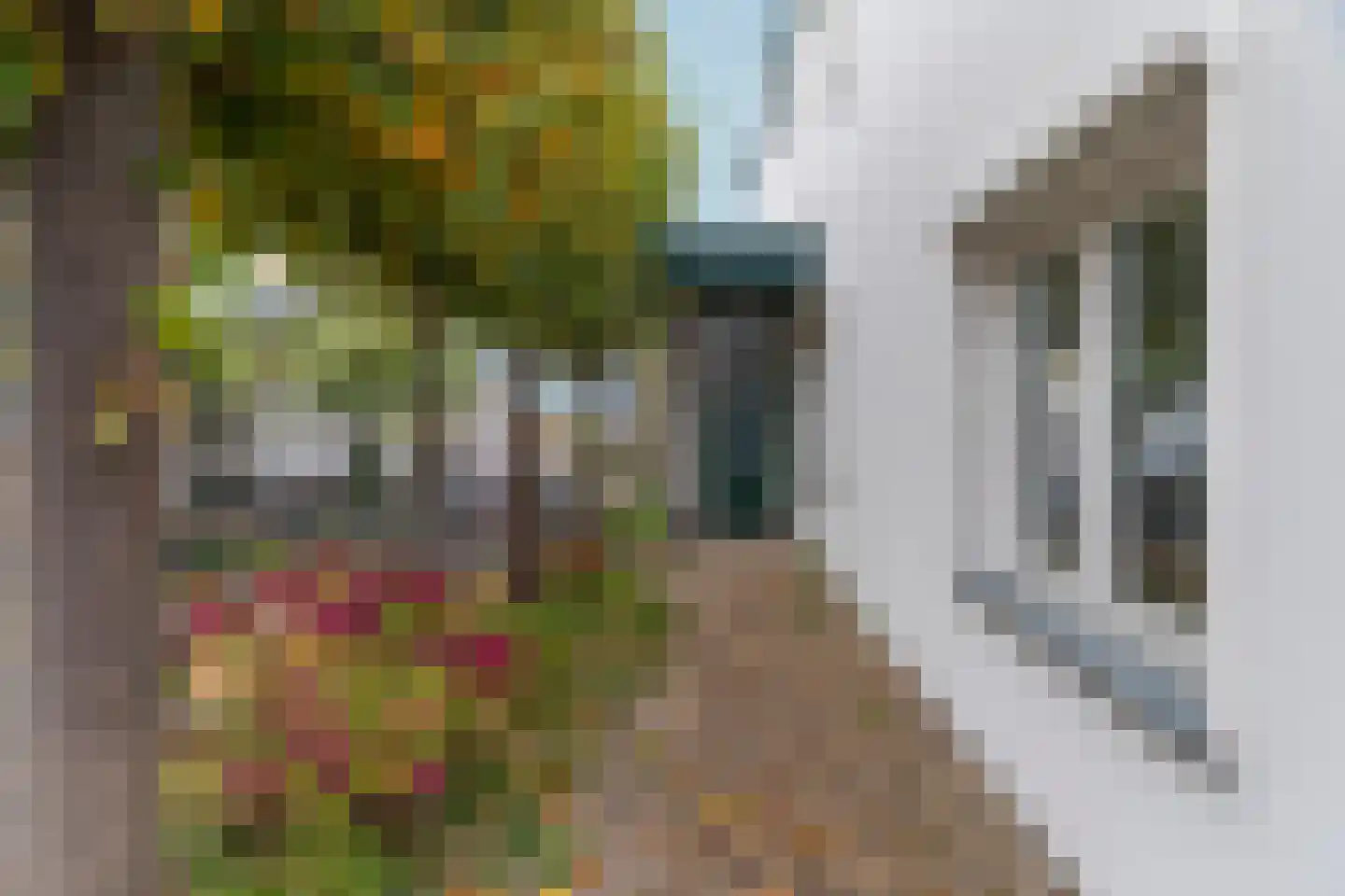 Leimuiderdijk 31 Rijsenhout thumbnail 4