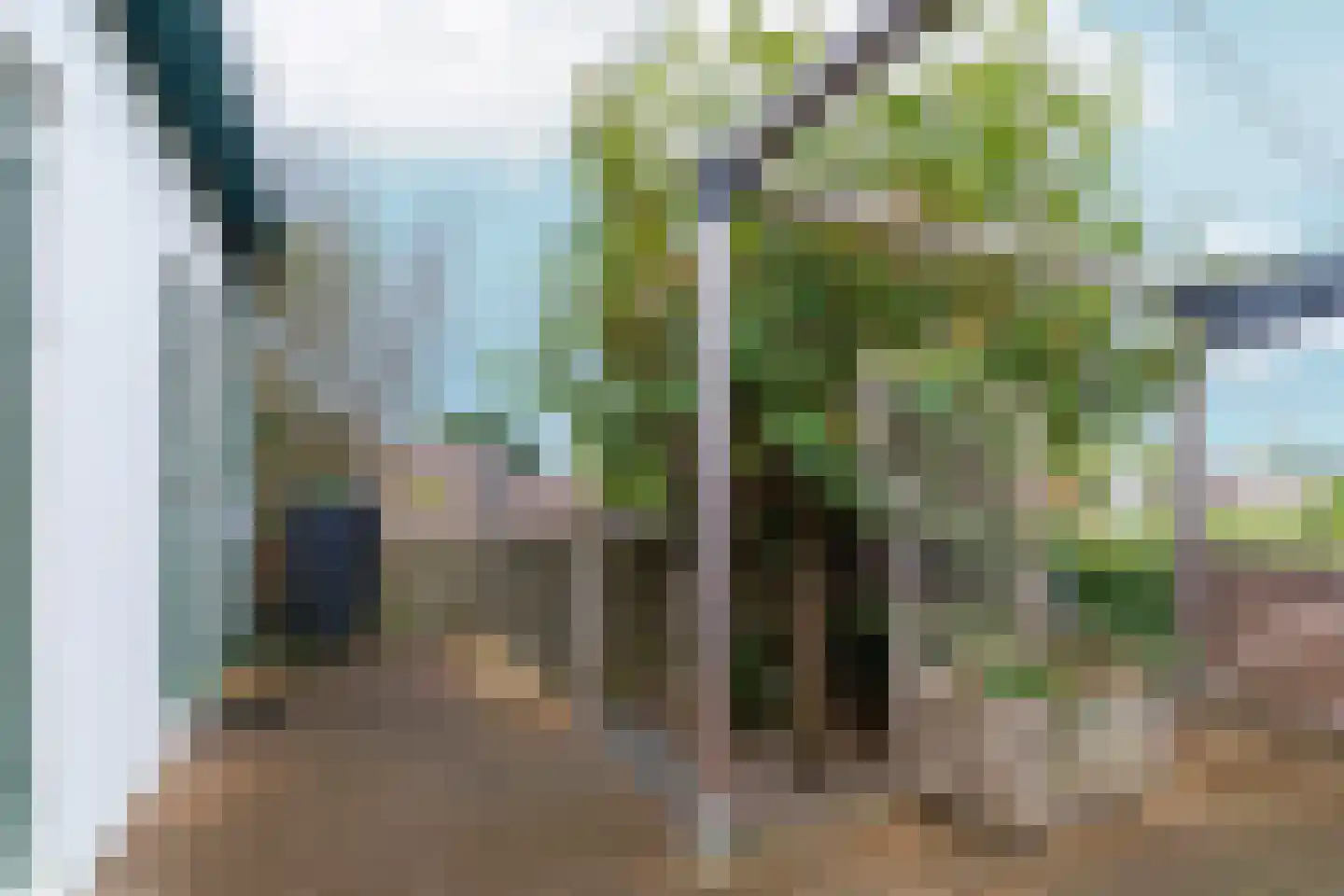Leimuiderdijk 31 Rijsenhout thumbnail 40