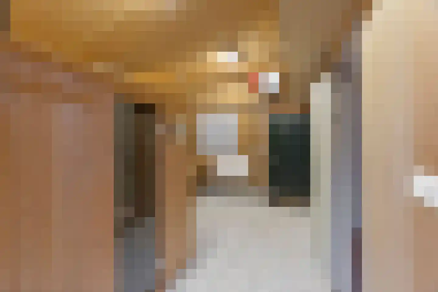 Leimuiderdijk 31 Rijsenhout thumbnail 41