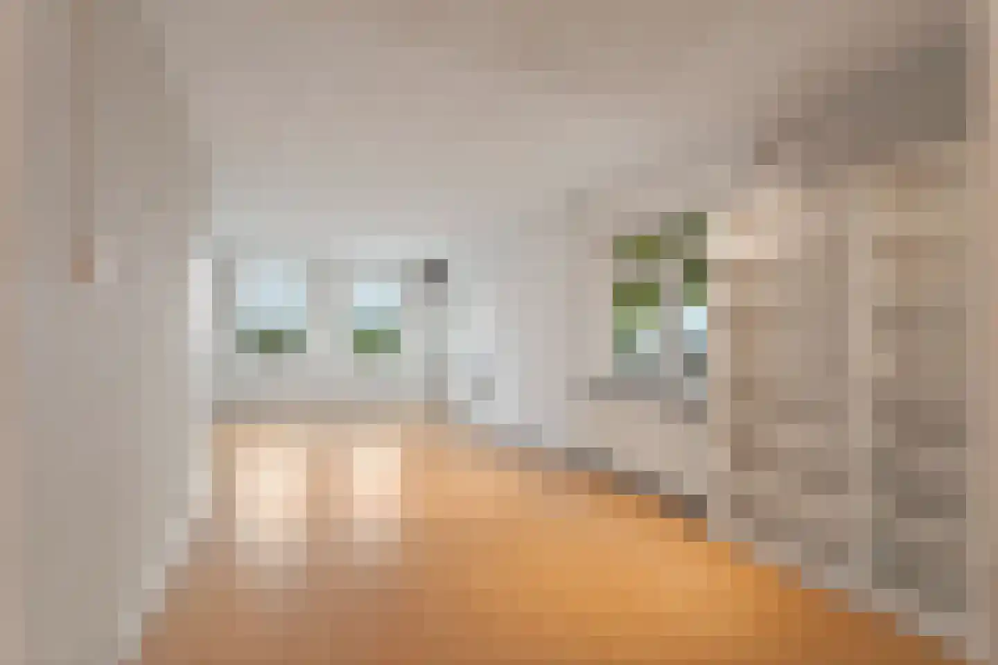 Leimuiderdijk 31 Rijsenhout thumbnail 6
