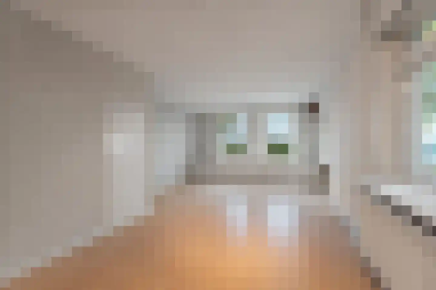 Leimuiderdijk 31 Rijsenhout thumbnail 8