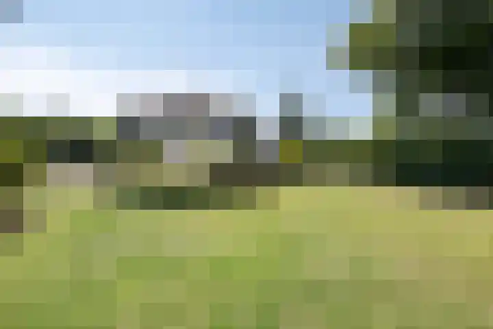 Leimuiderdijk 500 Weteringbrug thumbnail 18