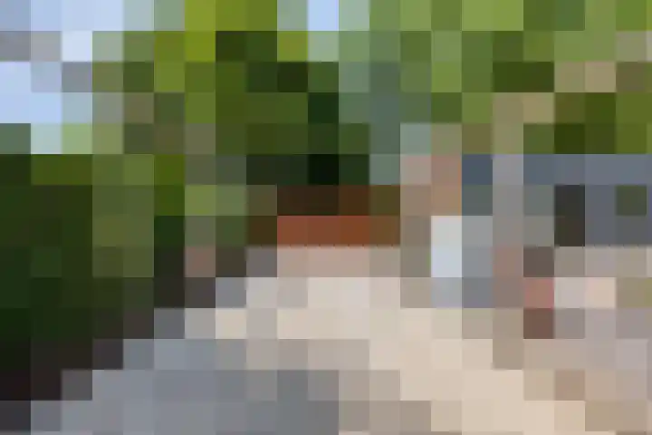 Leimuiderdijk 500 Weteringbrug thumbnail 39