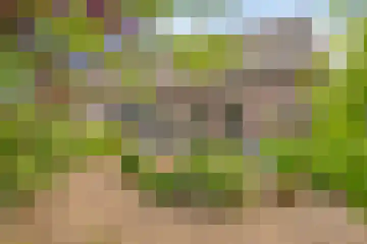 Leinserondweg 24 A Veghel thumbnail 36