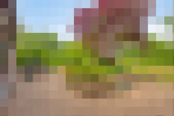 Leinserondweg 24 A Veghel thumbnail 37