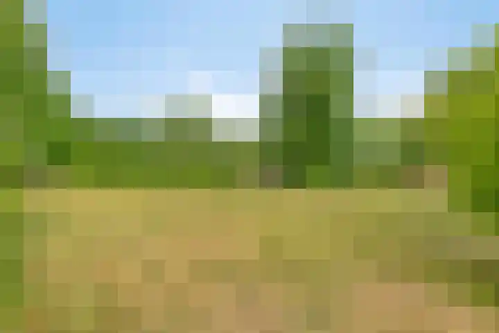 Leinserondweg 24 A Veghel thumbnail 38