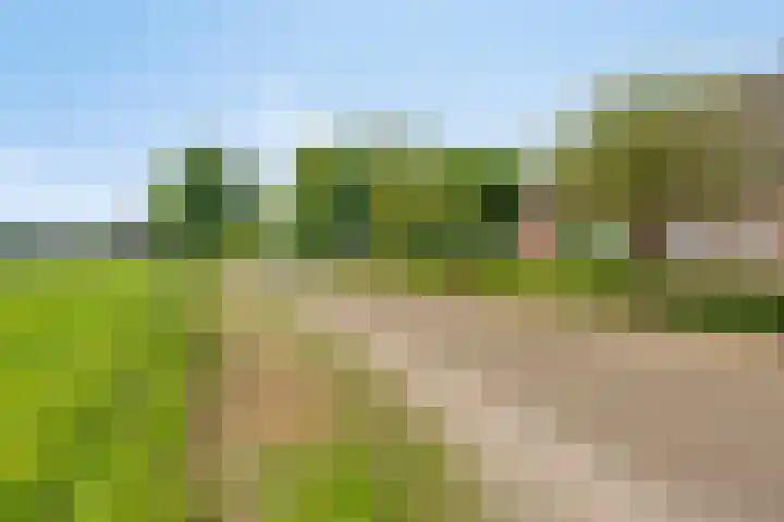 Leinserondweg 24 A Veghel thumbnail 4