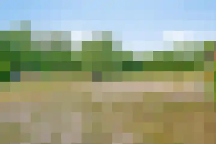 Leinserondweg 24 A Veghel thumbnail 40