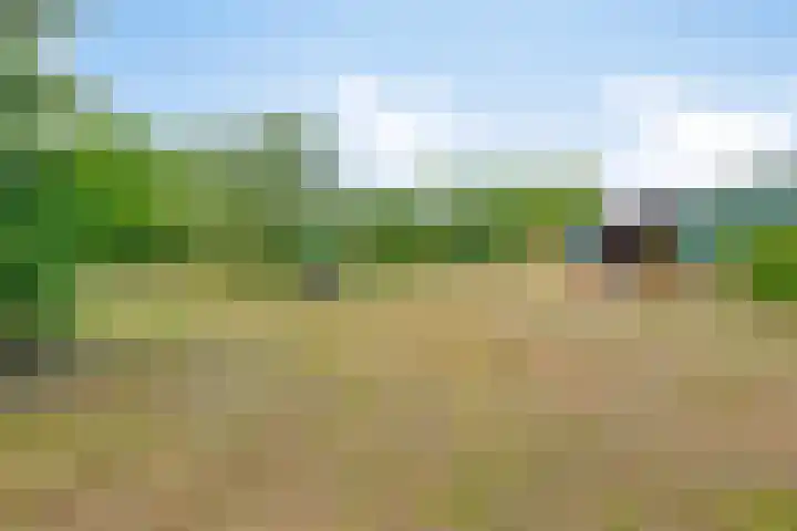 Leinserondweg 24 A Veghel thumbnail 41