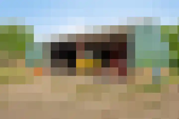 Leinserondweg 24 A Veghel thumbnail 42
