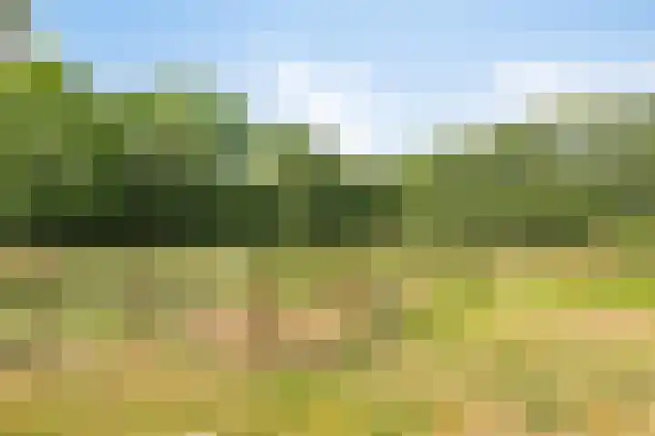 Leinserondweg 24 A Veghel thumbnail 43