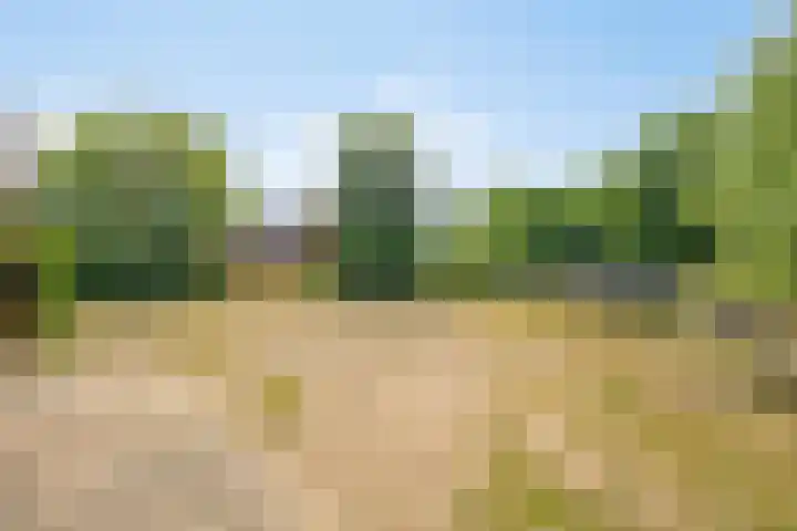 Leinserondweg 24 A Veghel thumbnail 46