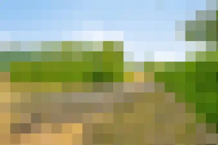 Leinserondweg 24 A Veghel thumbnail 47