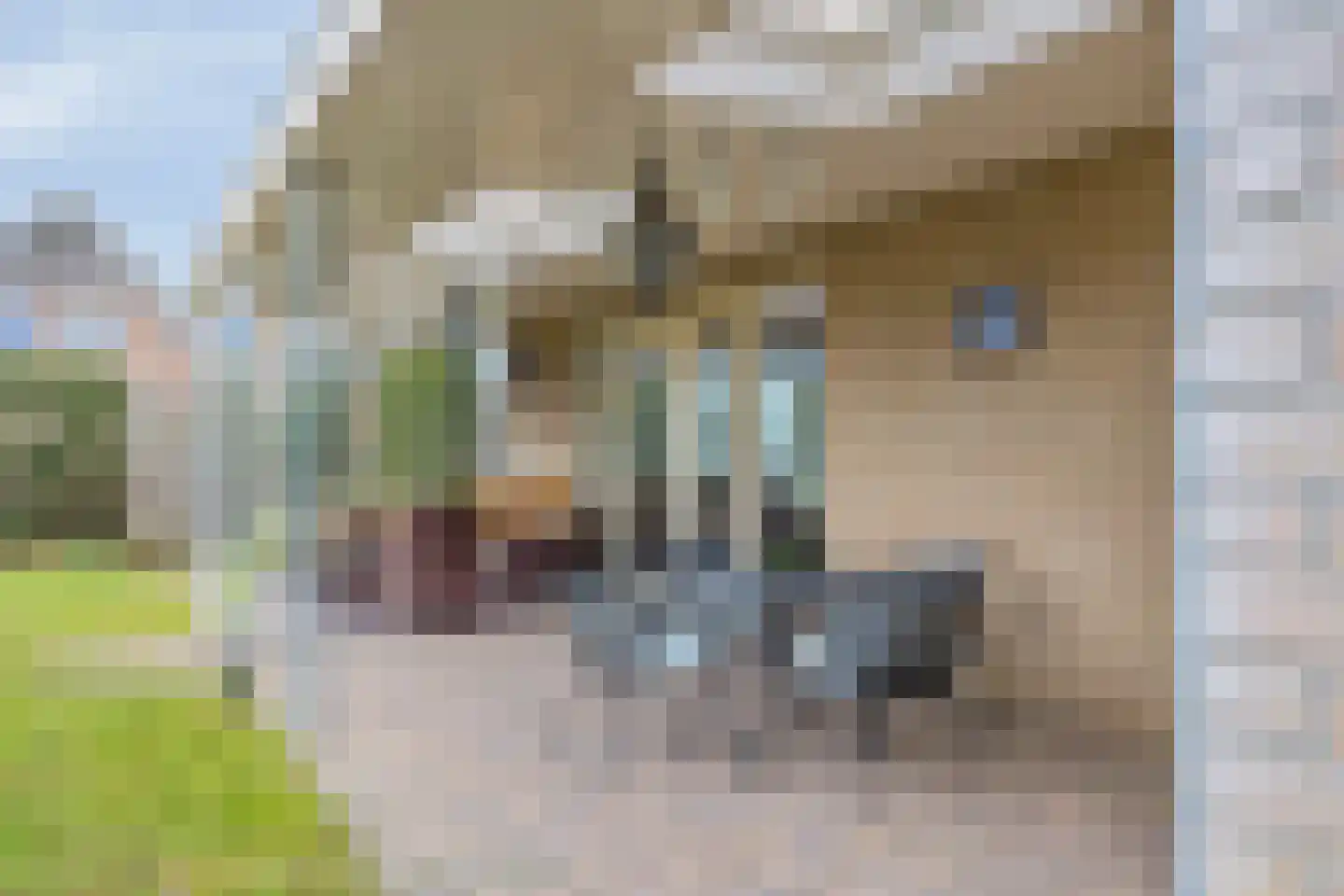 Leisteen 1 Zeeland thumbnail 32