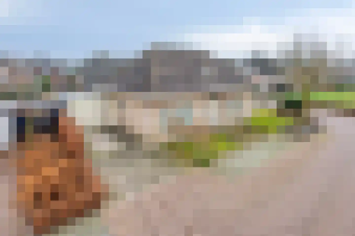Leisteen 1 Zeeland thumbnail 40