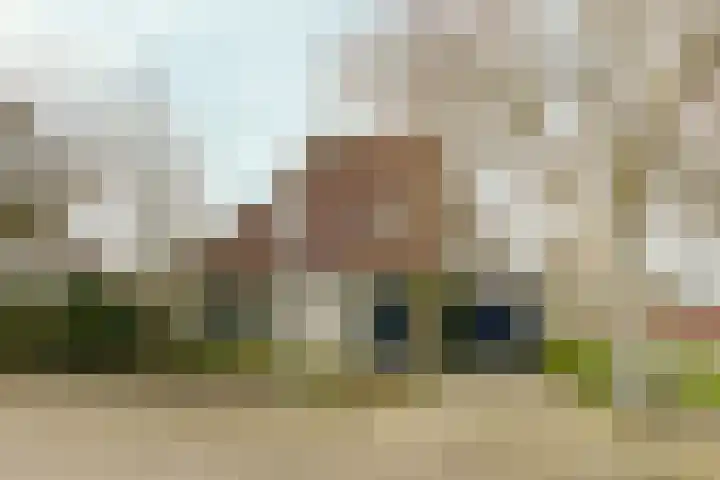 Leisteen 5 in Hoorn