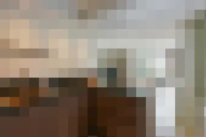 Leisteen 5 Hoorn thumbnail 15