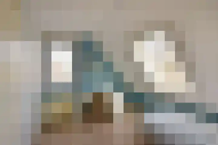 Leisteen 5 Hoorn thumbnail 21