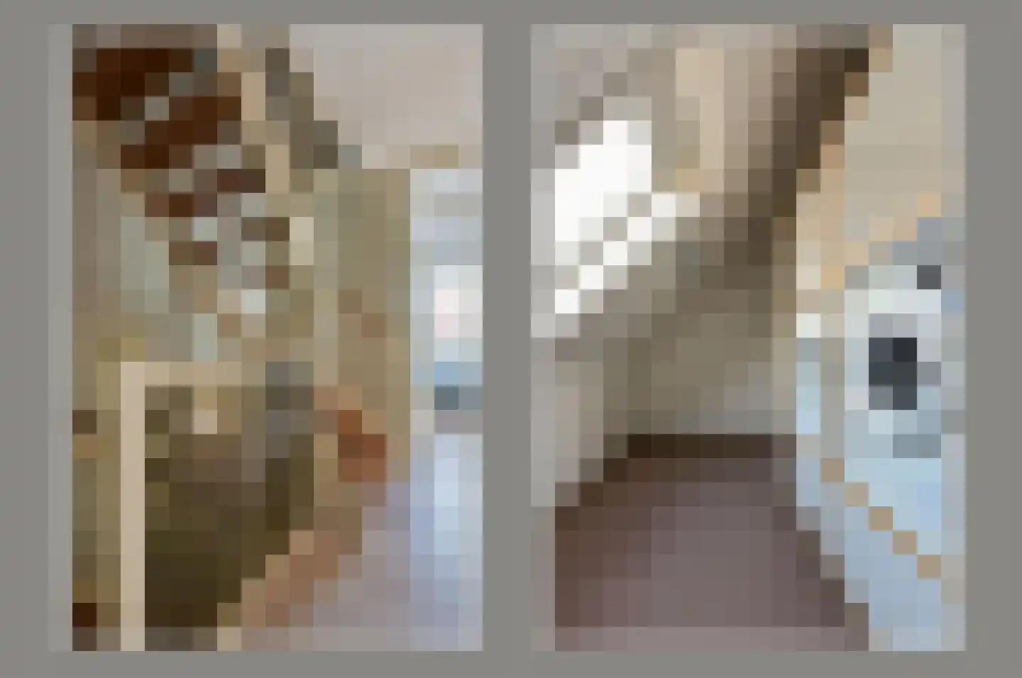 Leisteen 5 Hoorn thumbnail 25