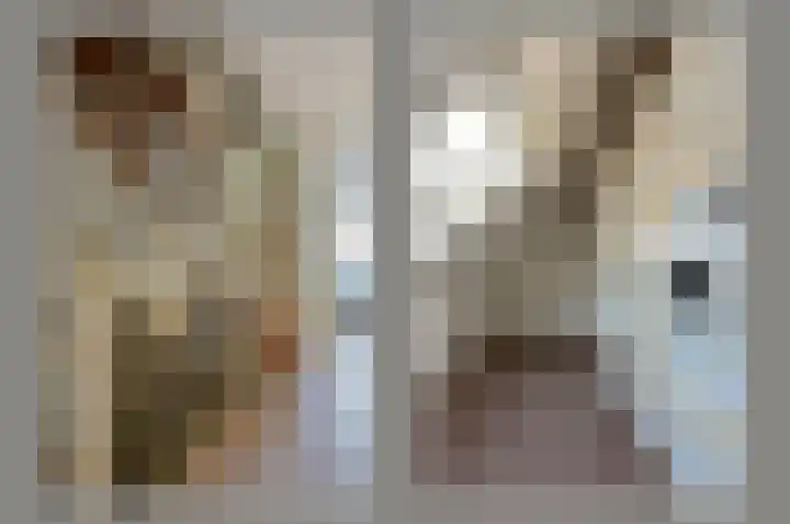 Leisteen 5 Hoorn thumbnail 26