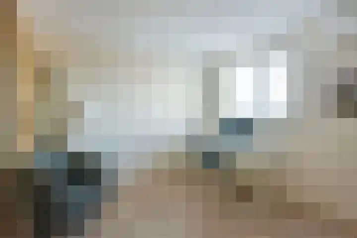 Leisteen 5 Hoorn thumbnail 28