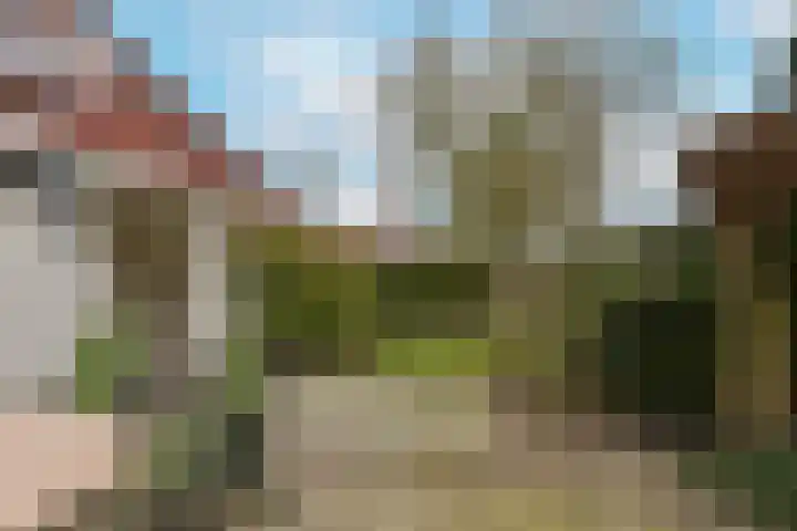 Leisteen 5 Hoorn thumbnail 30