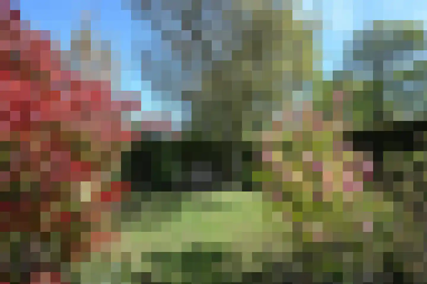Leisteen 5 Hoorn thumbnail 30
