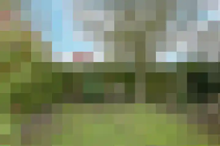 Leisteen 5 Hoorn thumbnail 31
