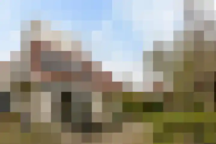 Leisteen 5 Hoorn thumbnail 33