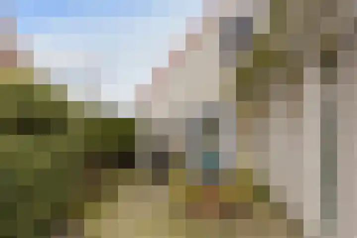 Leisteen 5 Hoorn thumbnail 34