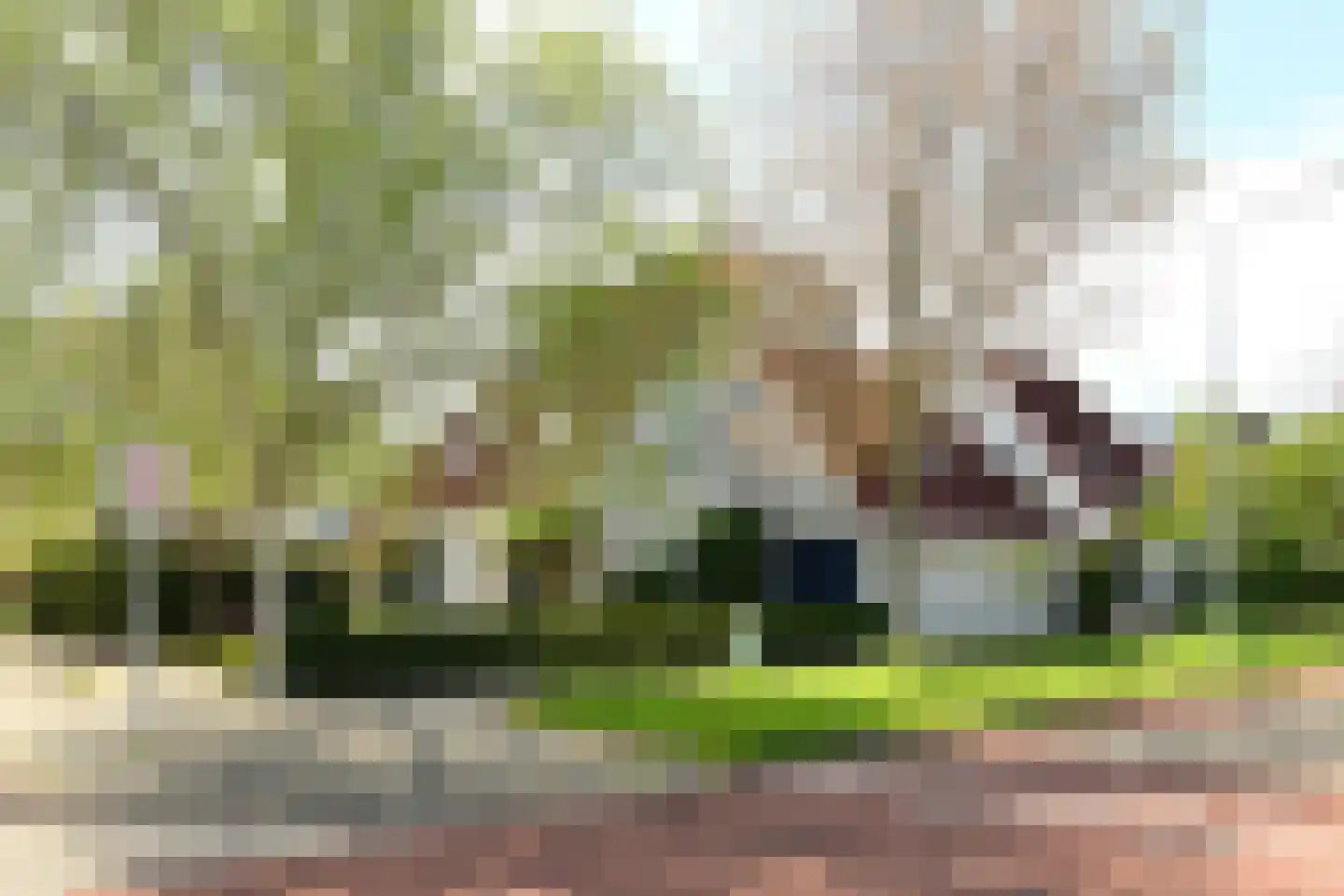 Leisteen 5 Hoorn thumbnail 35