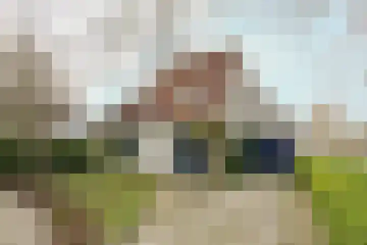 Leisteen 5 Hoorn thumbnail 37