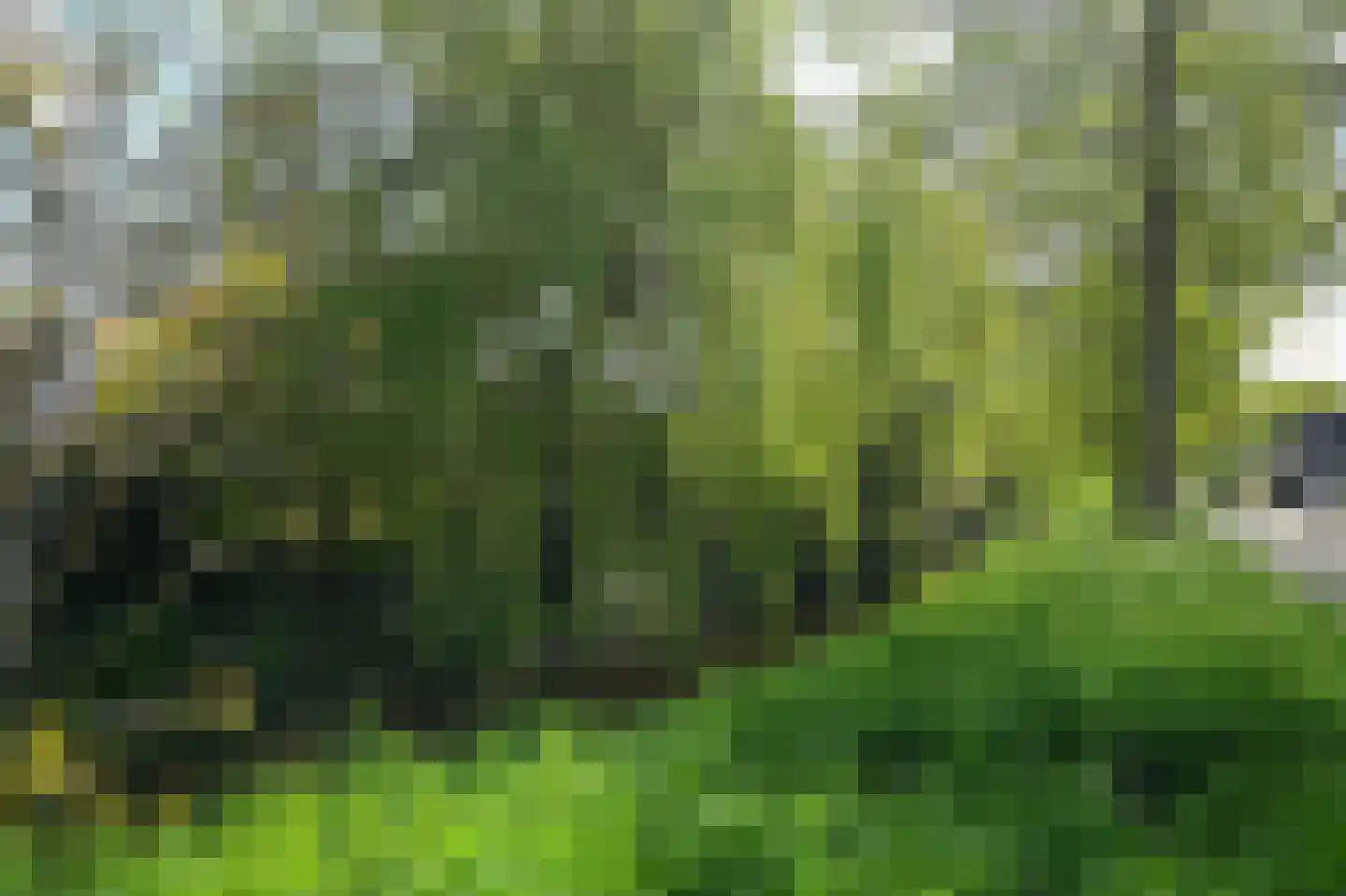 Leisteen 5 Hoorn thumbnail 38