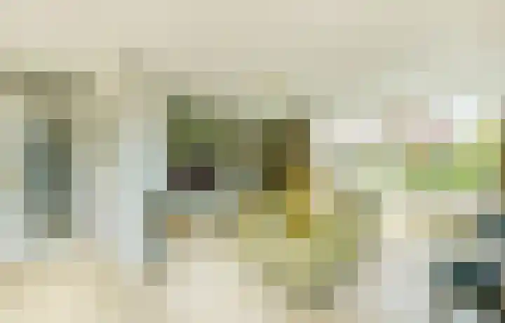 Leisteen 5 Hoorn thumbnail 5
