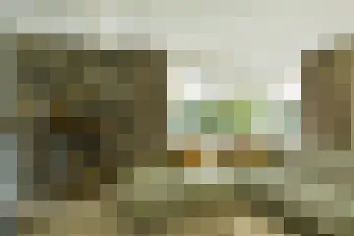 Leisteen 5 Hoorn thumbnail 7