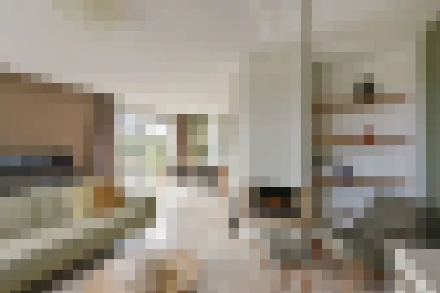 Leisteen 5 Hoorn thumbnail 7