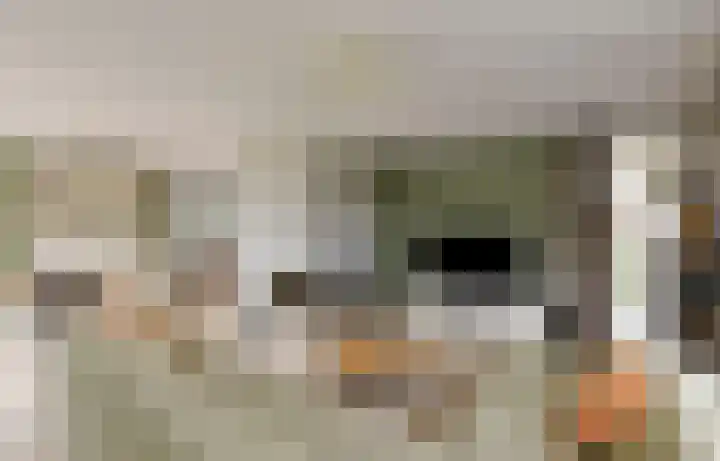 Leisteen 5 Hoorn thumbnail 8