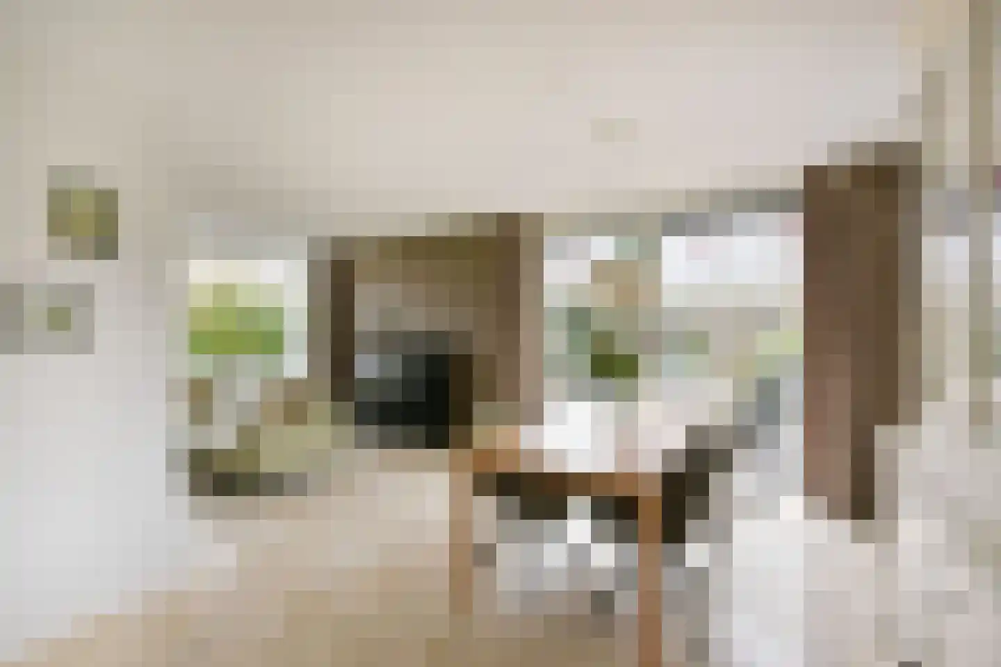 Leisteen 5 Hoorn thumbnail 8