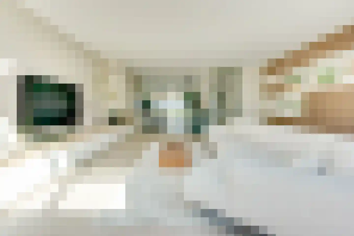 Leisteenoever 13 Nieuwegein thumbnail 18